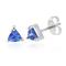 Silver .96ct Tanzanite Earring